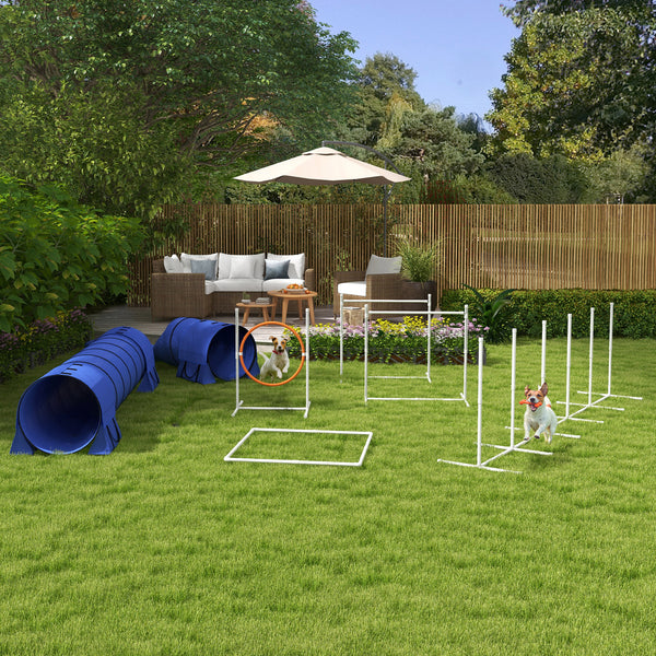 Agility-Set 7-teilig höhenverstellbar Hundetraining Blau