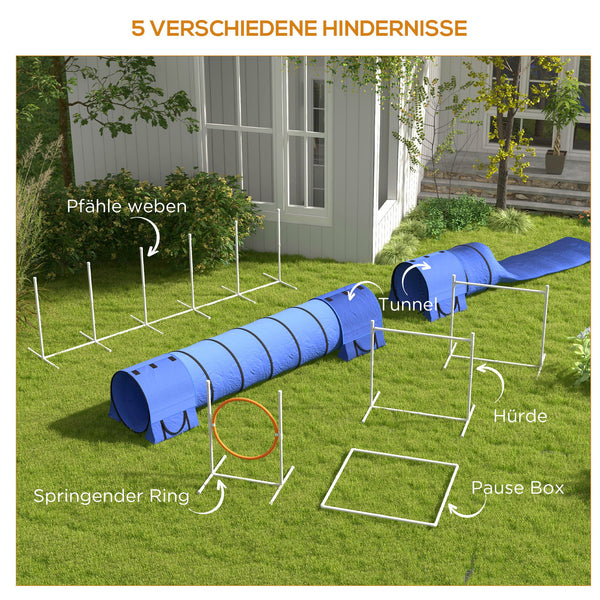 Agility-Set 7-teilig höhenverstellbar Hundetraining Blau