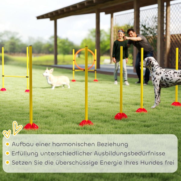 Agility Set Hundetraining mit Hürden und Slalomstangen