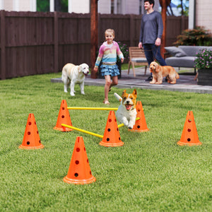 Agility Set Hund 3-teilig mit Hürden Kegeln und Tragetasche