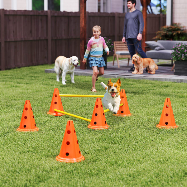 Agility Set Hund 3-teilig mit Hürden Kegeln und Tragetasche