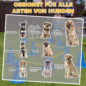 Agility Set für Hunde 6-teilig mit Hundetraining Hürden Kegel