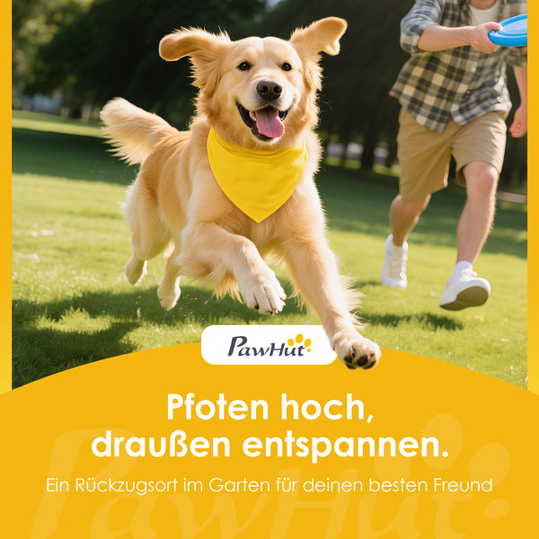Agility Set für Hunde 6-teilig mit Hundetraining Hürden Kegel
