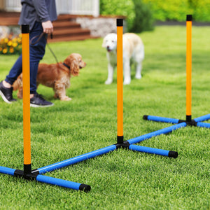 Agility Set für Hunde 7-teilig mit Hundetraining Hindernisse