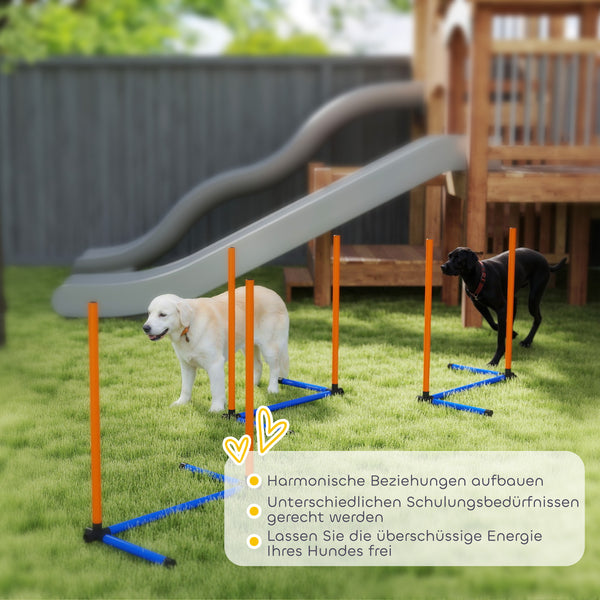 Agility Trainingsset für Hunde mit Slalomstangen und Tasche
