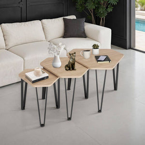 Beistelltisch-Set Torquay Industrial Holz hell, Eiche Sonoma