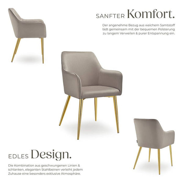 Armlehnstuhl Avane, Samtoptik, gepolstert taupe 6er Set