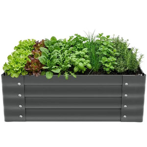 Hochbeet Salvia