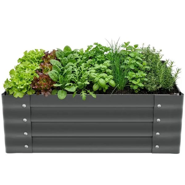 Hochbeet Salvia