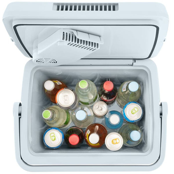 Electric cooling and warming box