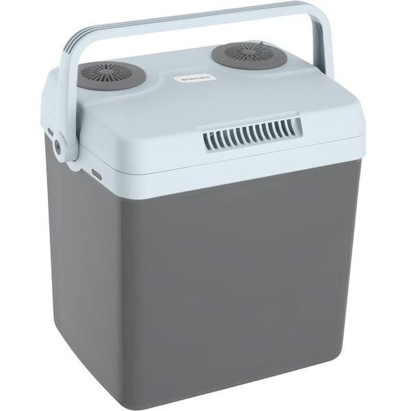 Electric cooling and warming box