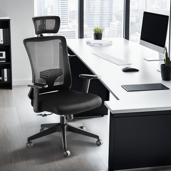 Phoibe ergonomic office chair with adjustable headrest