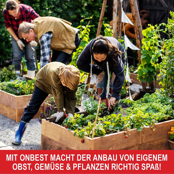 Beetrahmen Holz 3er Set stapelbar nachhaltig