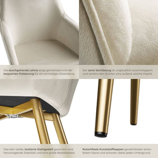 Stuhl Marilyn Samtoptik, goldene Stuhlbeine créme/gold