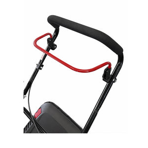 AREGGER Benzin Rasenmäher 46cm / 2.8kW ohne Radanrieb