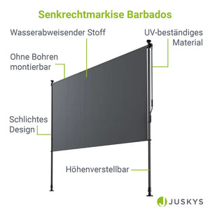 Senkrechtmarkise Barbados 200x310 cm Grau