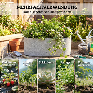 Blumentopf hängend 2er Set mit Ablauf für Balkon hellgrau
