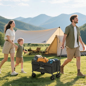 Bollerwagen Handwagen faltbar für Garten Strand bis 60kg schwarz