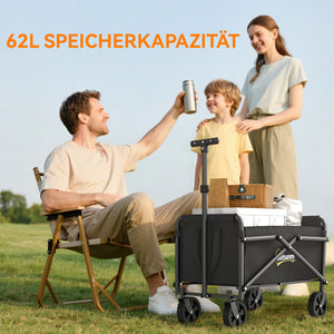 Bollerwagen Handwagen faltbar für Garten Strand bis 60kg schwarz