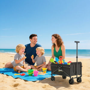 Bollerwagen Handwagen faltbar für Garten Strand bis 60kg schwarz