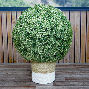 Künstlicher Buchsbaum Busch Ø 55cm, weisse Buchskugel Outdoor