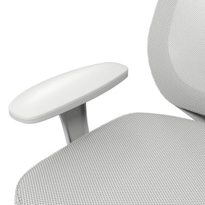 Bürostuhl ergonomisch höhenverstellbar drehbar grau