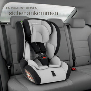 Autositz Sophie hellgrau/schwarz