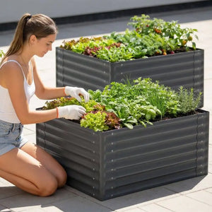 Hochbeet Salvia