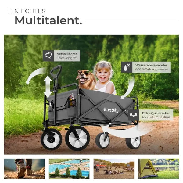 Bollerwagen Leon grau