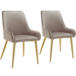 Polsterstuhl Avane taupe 2er Set