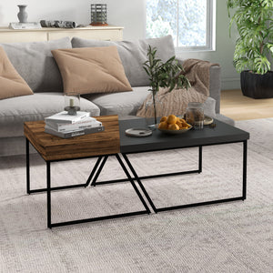 Couchtisch 2er-Set Stahlrahmen Industriedesign Schwarz-Braun