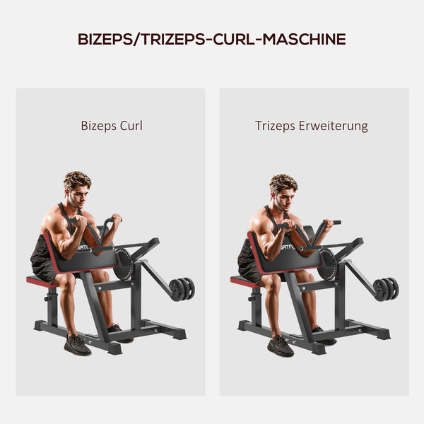 Curlbank Hantelbank verstellbar für Bizeps und Trizeps Training