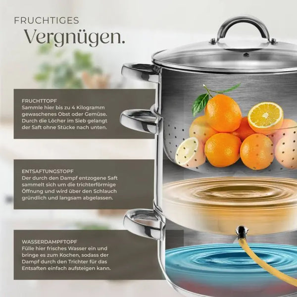 Dampfentsafter