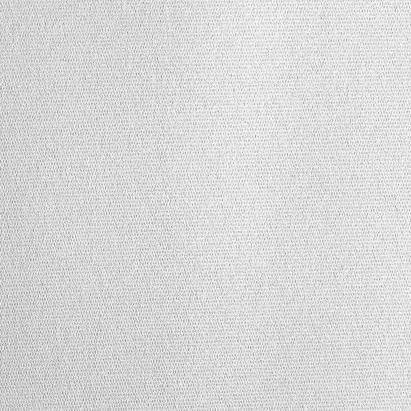 Beamer-Leinwand Cinema