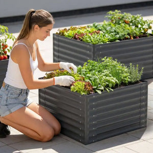 Hochbeet Salvia