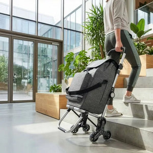Einkaufstrolley Shopper