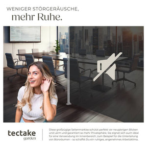 Aluminium Seitenmarkise schwarz 160 x 300 cm