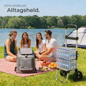 Einkaufstrolley Shopper 3in1 klappbar mit Kühltasche grau