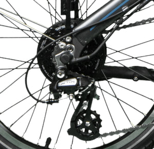 E-Bike Klappvelo 20"" Badger grey