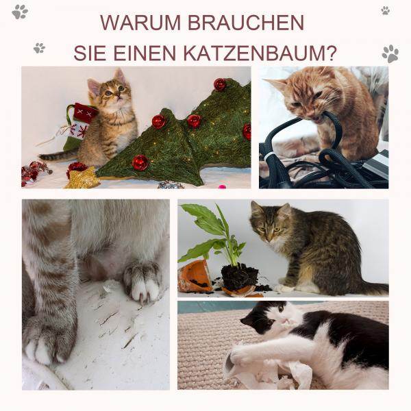 Katzenbaum Spielbaum mit Ball Katzenkratzbaum Kratzbaum Katzen Hellgrau