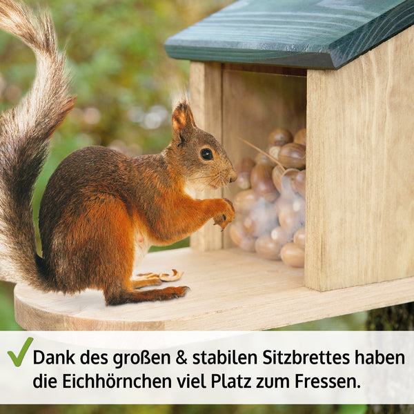 Eichhörnchen Futterstation Walnussblick aus Holz