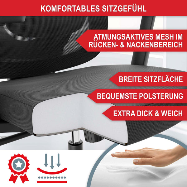 Ergonomic office chair with lumbar support and height-adjustable headrest