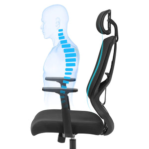 Ergonomischer Bürostuhl Schwarz