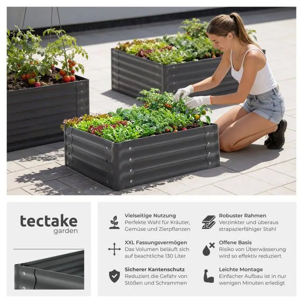 Hochbeet Salvia