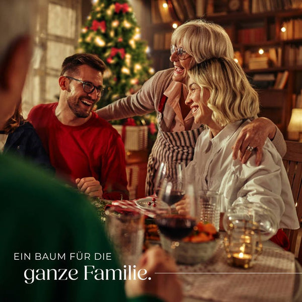 Weihnachtsbaum Dasher 230 cm