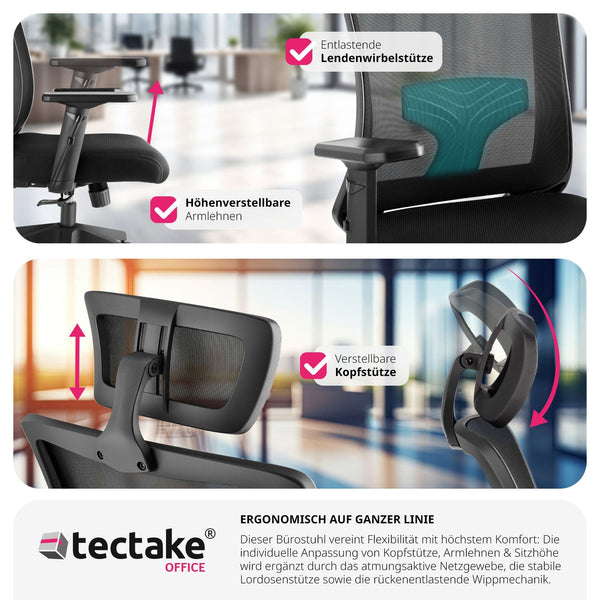 Phoibe ergonomic office chair with adjustable headrest