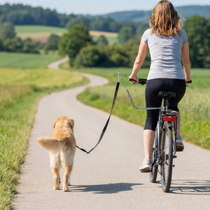 Fahrradleine für Hunde verstellbar abnehmbar mit Stossdämpfer