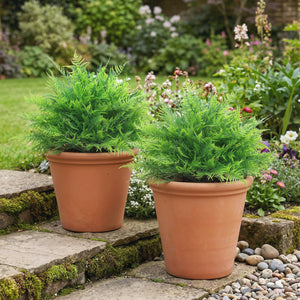 Farnbusch künstlich UV-beständig Set für Garten und Balkon 60cm