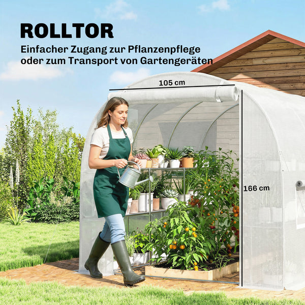 Foliengewächshaus gross rollbar mit Regalen und Netzfenstern