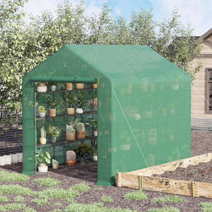 Foliengewächshaus begehbar mit Regalen und Tür für Tomaten